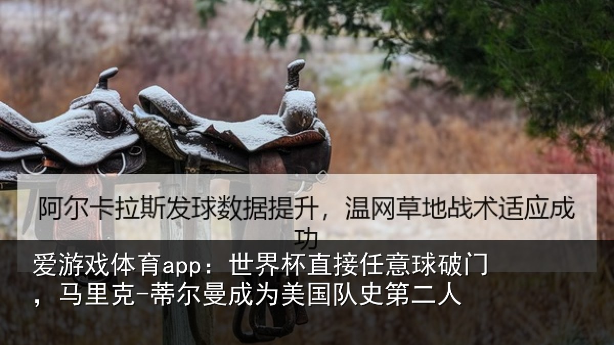 爱游戏体育app:世界相关情况,马里相关情况队史第二人