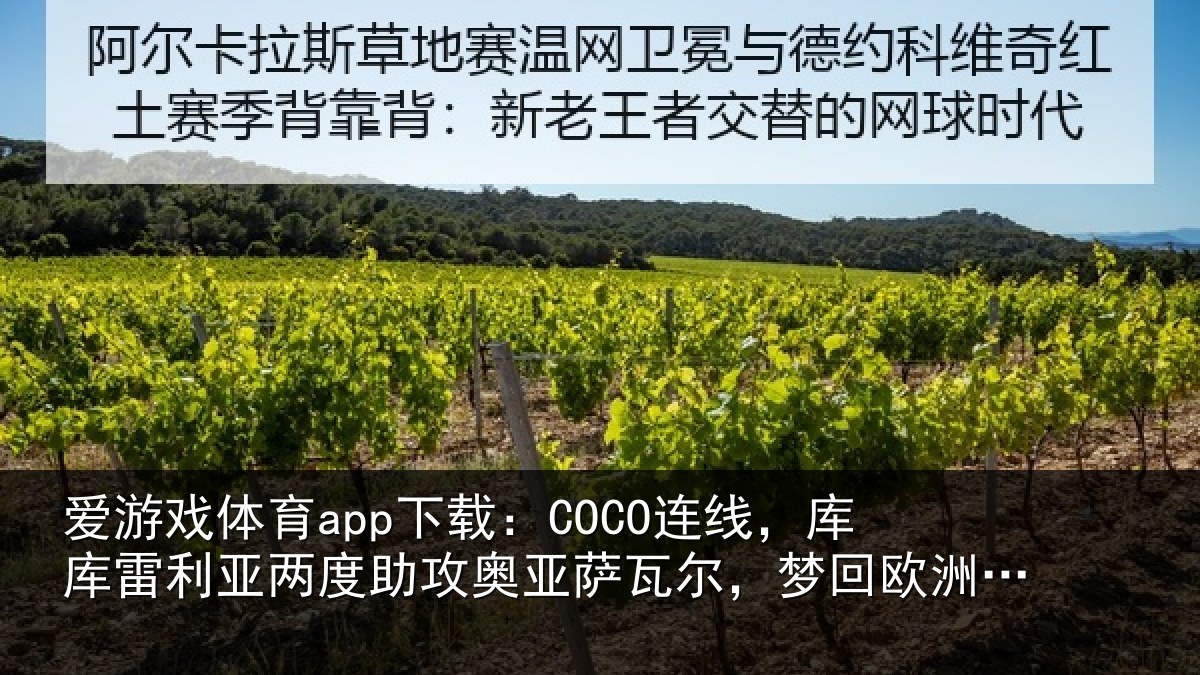 爱游戏体育app下载：COCO连线，库库雷利亚两度助攻奥亚萨瓦尔，梦回欧洲杯决赛