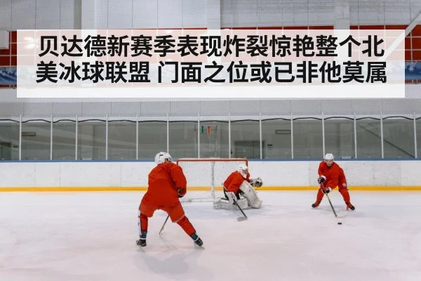 ice hockey goal